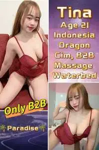 JPEG image 4273 8169 A1 0
