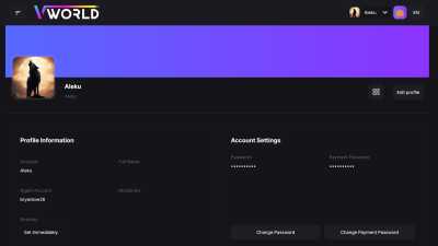 V World Profile   202508